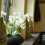 Noahs Balingen Boisson