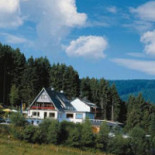 Wald Willingen Exterior
