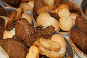Perroquet Vert food