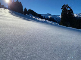 Schönhalden outside