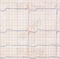 Pivovar U Dobrenských Speisekarte