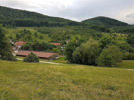 Most-besen Häringen outside