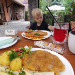 De Pellegrin Nourriture