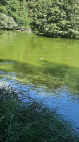 Klosterstüble Oberschönenfeld Mit Biergarten drink