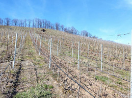 Weingut Goger outside