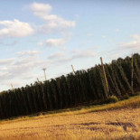 Zum Forst Extérieur