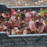 Fitteria Grünert Im Sibyllenbad Exterior