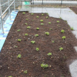 Fitteria Grünert Im Sibyllenbad Exterior