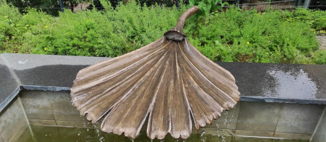 Springiersbacher Hof outside