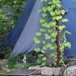 Genuss Pur Von Katrin Stockmann Exterior