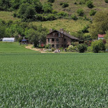 Herrenhof Am Tunnel Herrenhof Café Wein- Und Vesperstube Exterior