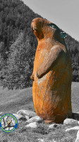 Cafe/Marmota drink