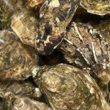 Zum Marktamt Getränk