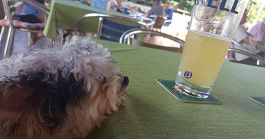 Pension Rosenberg Ewald Janosch Das Haus Mit Dem Dreiländerblick drink