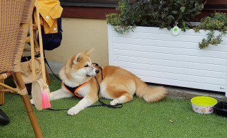 Le Derby outside