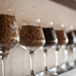 Camba Biererlebniswelt Minuman