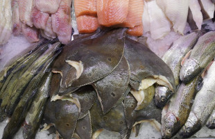 Fisch Möller food