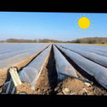 Spargelhof Erdbeeren Geers Exterior