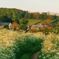 Baselblick Das Gasthaus Auf Der Britsche outside