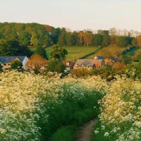 Zur Sonne outside