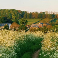 Express Döner outside