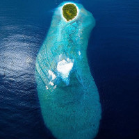 Express Döner drink