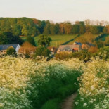 Sonniges Eck outside