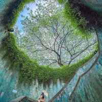 Pizzeria Toni outside