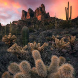Coffee Fellows Kaffee, Bagels, Frühstück Extérieur