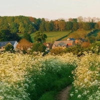 Weinhaus Seitz outside