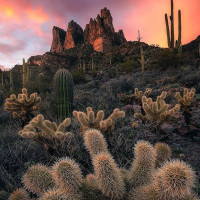 Weinhaus Seitz outside