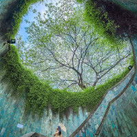 Weinhaus Seitz outside