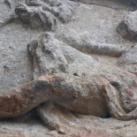 Brunnenhaus Der Lutterquelle Boisson