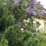 J. Hufnagel Exterior