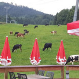 Metzgerei Götz Gmbh Co. Kg Extérieur