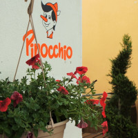 Pinocchio food