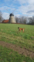 Gasthaus Zur Windmühle outside