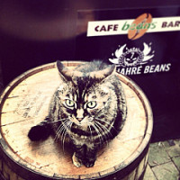 Café Bar Beans 
