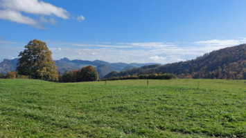 Bergwirtschaft Waldweide inside