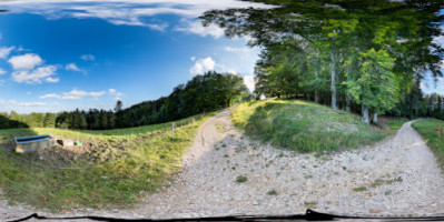 Bergwirtschaft Waldweide inside