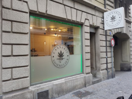 Smoking Grasshopper Cannabis Sommelier Cbd Coffeeshop Cbd Shop inside