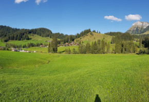 Gasthof Schneehas, Sylvia Bieri-kropf food