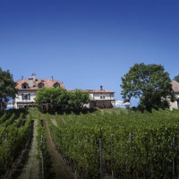 Domaine De Châteauvieux inside