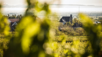 Weingut Und Gästehaus Estelmann outside