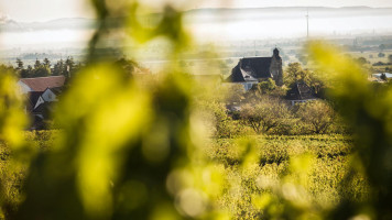 Weingut Und Gästehaus Estelmann outside