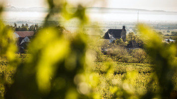 Weingut Und Gästehaus Estelmann outside