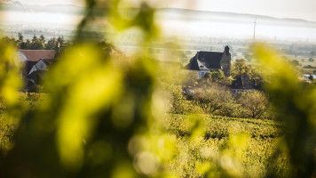 Weingut Und Gästehaus Estelmann outside