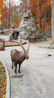 Kiosk Wildpark outside