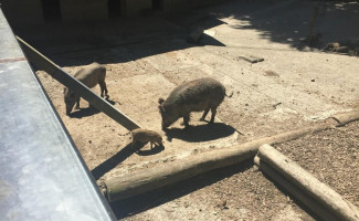 Kiosk Wildpark outside