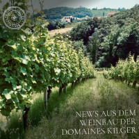 Domaines Kilger Gmbh Co Kg food